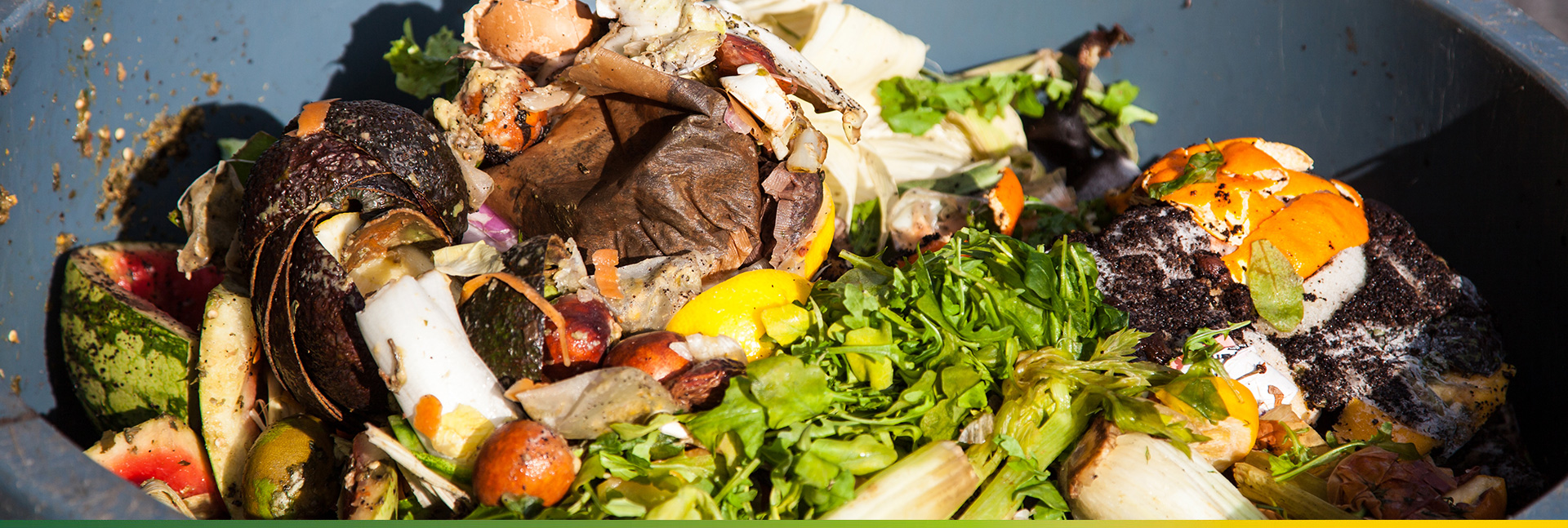 GFL Zero Carbon - Food Waste